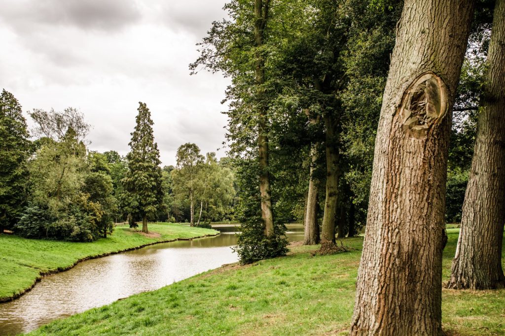 Froghollow at Belvoir