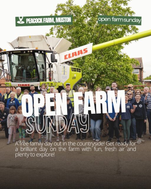๐ฟ THIS SUNDAY: Open Farm Sunday at Peacock Farm! ๐๐
Get up close to farm life in Muston, near Melton Mowbray with farm tours, machinery displays, meet the animals, hands-on activities, food and more!
Itโs free, fun and perfect for a family day out on a farm! ๐
๐ Tap the blog in bio for all the details:
https://discovermelton.com/blog/
#OpenFarmSunday #PeacockFarm #MeltonMowbray #FamilyDayOut #Leicestershire #DiscoverMelton #FarmLife #ThingsToDo #VisitLeicester