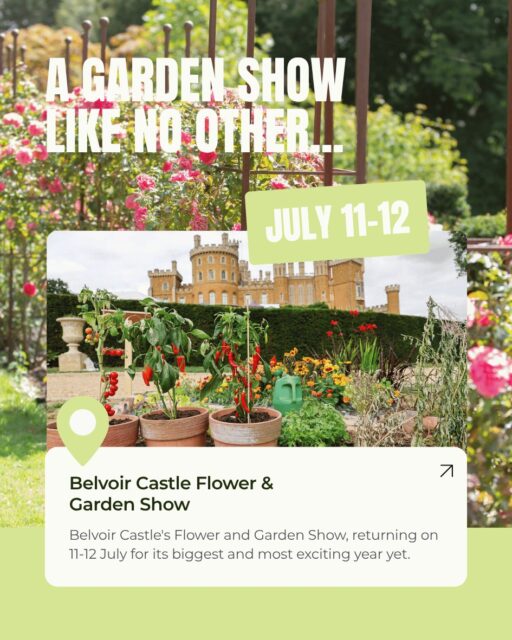 🌹✈️ It starts with roses.

You arrive at Belvoir Castle to the scent of summer gardens, colourful stalls and the gentle buzz of families making memories.

Then, for a moment, everything pauses.

Heads turn skywards as historic RAF aircraft sweep over the Castle in a moving Battle of Britain tribute — Spitfires, Hurricanes and Dakotas creating the kind of moment people talk about long after they’ve gone home.

This is Belvoir Castle’s Flower and Garden Show, returning on 11–12 July with its biggest weekend yet.

Expect beautiful gardens, expert talks from Adam Frost and David Domoney, live demonstrations, artisan stalls and a spectacular flypast set against one of Leicestershire’s most iconic views.

Garden lover, aviation enthusiast or simply looking for a special family day out — this is a summer story worth being part of.

🌿 Read the full story on Discover Melton 👉 Link in Bio

#DiscoverMelton #BelvoirCastle #FlowerAndGardenShow #visitleicester 🌹✈️🌿