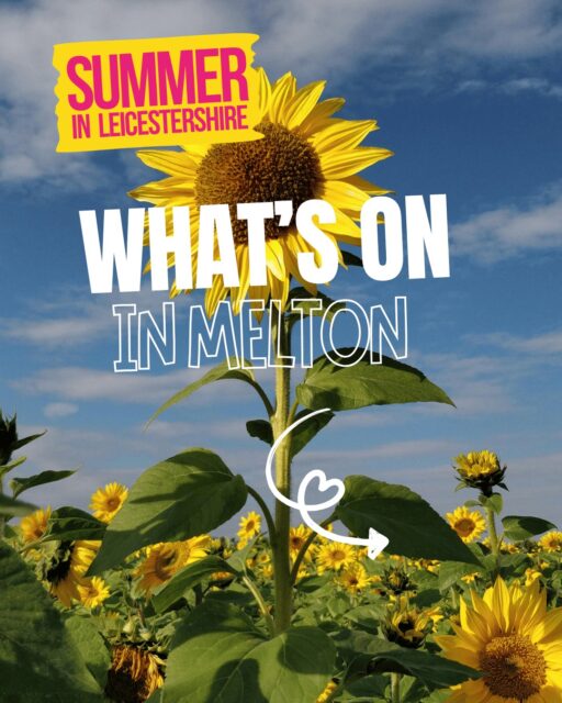 π»π¬πΊ Summer in Melton is looking busy!
Pick sunflowers, enjoy cinema under the stars, explore a photography exhibition, taste local cider, catch live music at the bandstand, join the Melton Lions Fun Day, or head to Bike Night on King Street.
Thereβs something for everyone this weekend.
π» PYO Sunflowers at Grange Farm, Somerby, LE14 2PP
#DiscoverMelton #MeltonMowbray #visitleicester #WhatsOnMelton