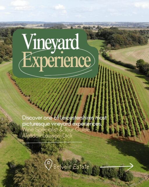 πDiscover one of the Vale of Belvoir's hidden gems.
Join Alasdair Lawson-Dick, Wine Specialist & Tour Guide, for a guided vineyard experience through the Belvoir Estate. Over approximately 2 hours, you'll stroll amongst the vines, enjoy stunning countryside views, and uncover the story behind locally produced English wine.
π· Vineyard Tours available on 15 & 29 August
πΈ credit: Sam Churchill & Belvoir Castle
#DiscoverMelton #VisitLeicester #WineTour #BelvoirEstate #LeicestershireDaysOut