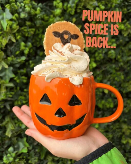 🍂☕ The pumpkin spice latte is back at Ferneley's and the weather couldn't be more autumnal.

Make a day of it this Saturday at Hedgehog Day, raising funds for the amazing Prickleback Urchin Hedgehog Rescue. Expect family fun, a dog show, children's activities, local stalls and plenty of opportunities to learn how to help our prickly garden friends.

🦔 Come for the pumpkin spice. Stay for the hedgehogs.

📍 Ferneley's Ice Cream
 ⏰ 10.30am to 2pm

#DiscoverMelton #PumpkinSpiceSeason #HedgehogDay #AutumnDays #MeltonMowbray #FamilyFun #SupportLocal 🧡🍂🦔
