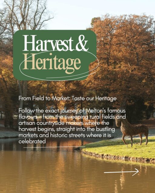 Crisp autumn air, rolling golden hills, and flavours grown right under the shadow of a castle π°π
Our week of Harvest & Heritage begins in the stunning Vale of Belvoir. Did you know that the refreshing elderflower and fruit presses you love are crafted right here at the Belvoir Farm estate?
And this autumn, you can get even closer to the estate's incredible agricultural heritage. Every, Thursday you can join the brilliant Belvoir Orchard Tour & Talk! It is completely free to attend. Just book on!
Before the harvest heads to our famous town markets, it starts right here in our rich rural pastures. Take a scenic drive, cycle or walk through our villages this week and taste the landscape.
π Plan your countryside escape at Discovermelton - link in bio
#DiscoverMelton #ValeOfBelvoir #ruralcapitaloffood #Leicestershire #visitleicester #tastetheplace