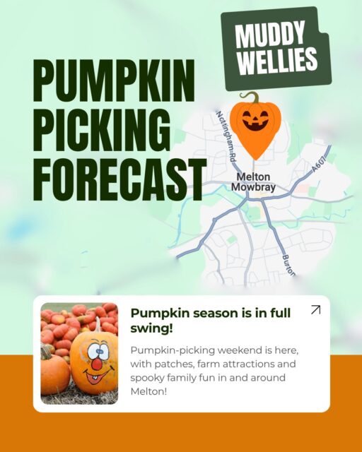 π The plan: one pumpkin.
πππππ The reality: a wheelbarrow full and nowhere left to put them at home.
Pumpkin-picking weekend is here, with patches, farm attractions and spooky family fun...
π March House Farm
π Thorpe Arnold Pick Your Own
π Grange Farm, Somerby
π Twinlakes Family Scream Park
Grab your wellies and make the most of autumn in Melton π