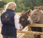 Belvoir Petting Farm