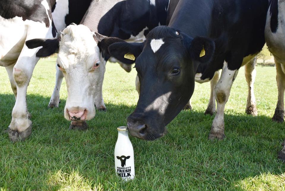 Fresh-milk.jpg