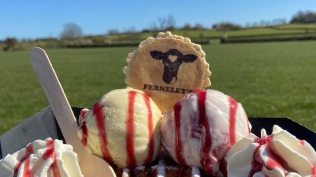 Ferneleys ice cream