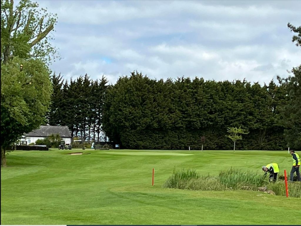 MM-golf-2.jpg
