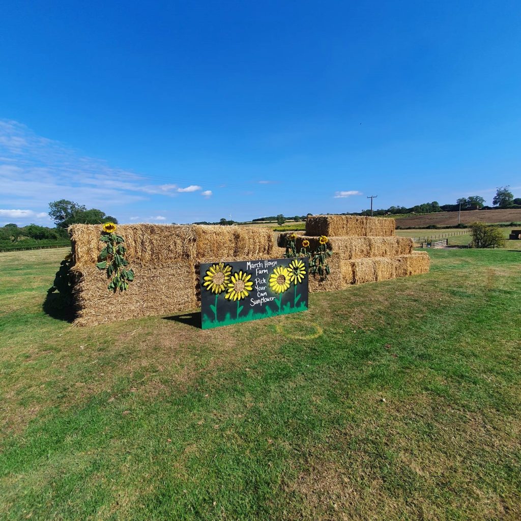 March-House-Farm-2c.jpg