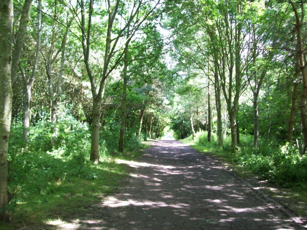 Melton-Country-Park.jpg