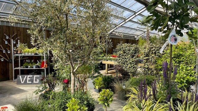 Plant-Centre-2.jpg