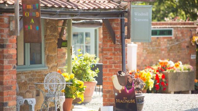 Windmill-Tea-rooms-2-dm.jpg