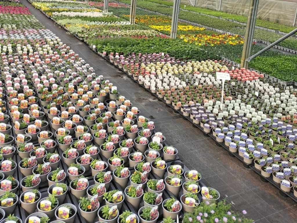 The Potting Shed at C & C Plants