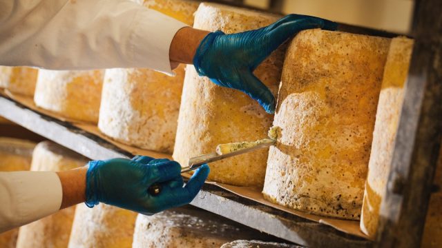 Clawson Farms Stilton Cheese