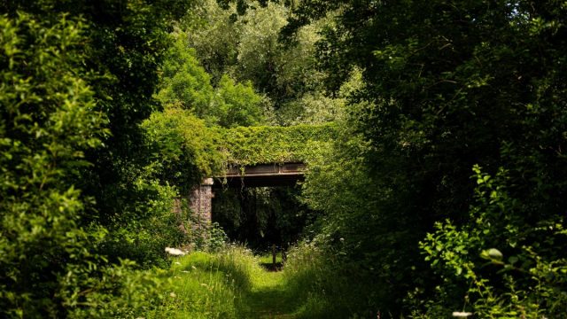 Holwell Nature Reserves