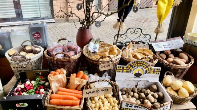 Michelle's Veg Patch