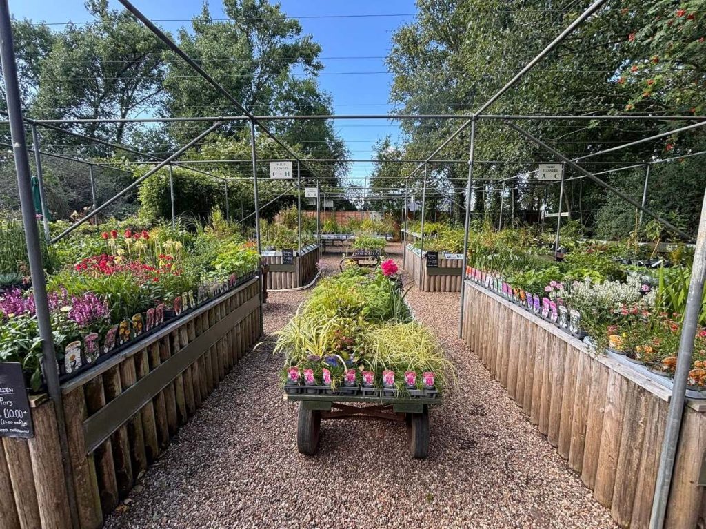 Naturescape Wildflower Farm