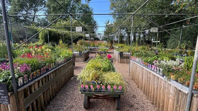 Naturescape Wildflower Farm