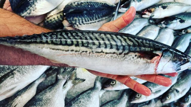 Neil Cavner & Son Fishmonger