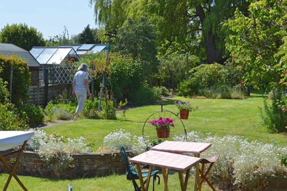 Garden with plants and flowers