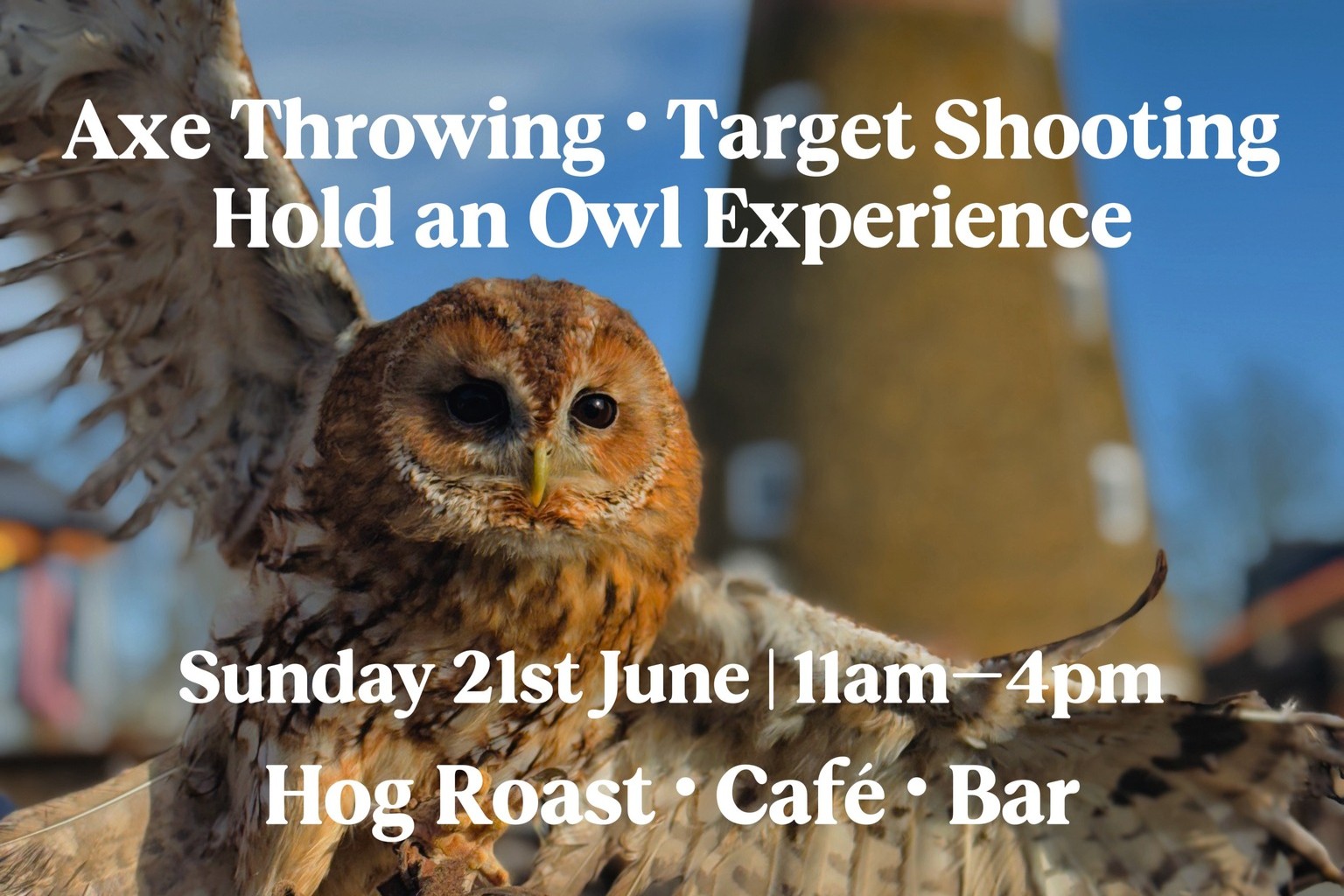 Owl with windmill in back ground