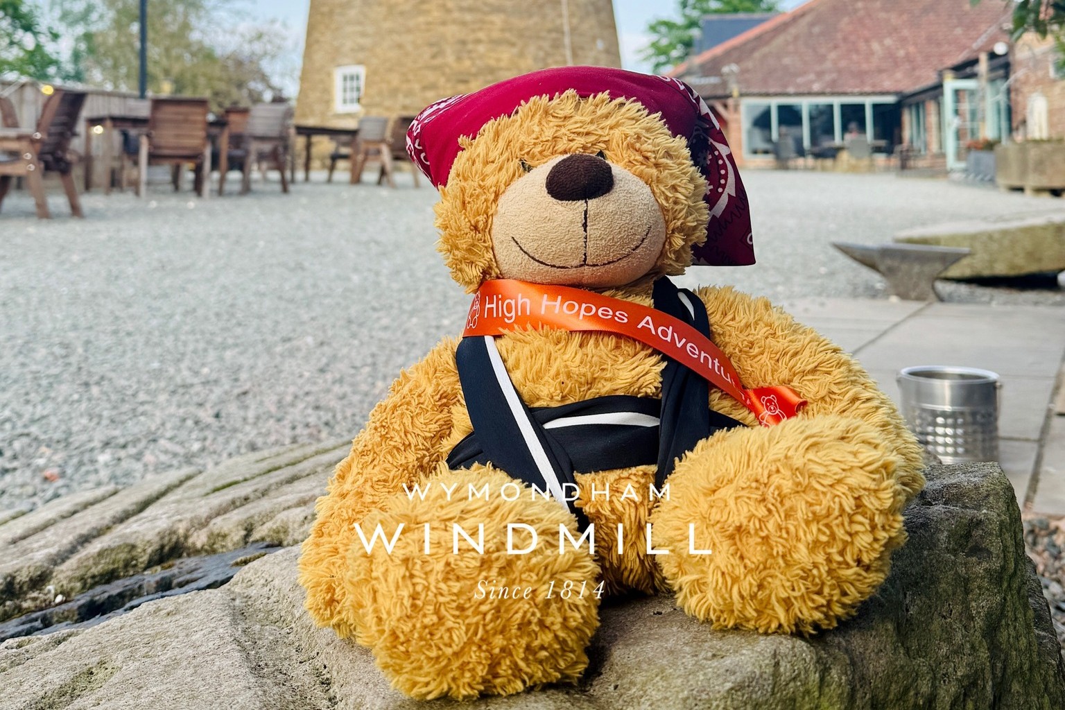 Teddy Bear Wymondham Windmill