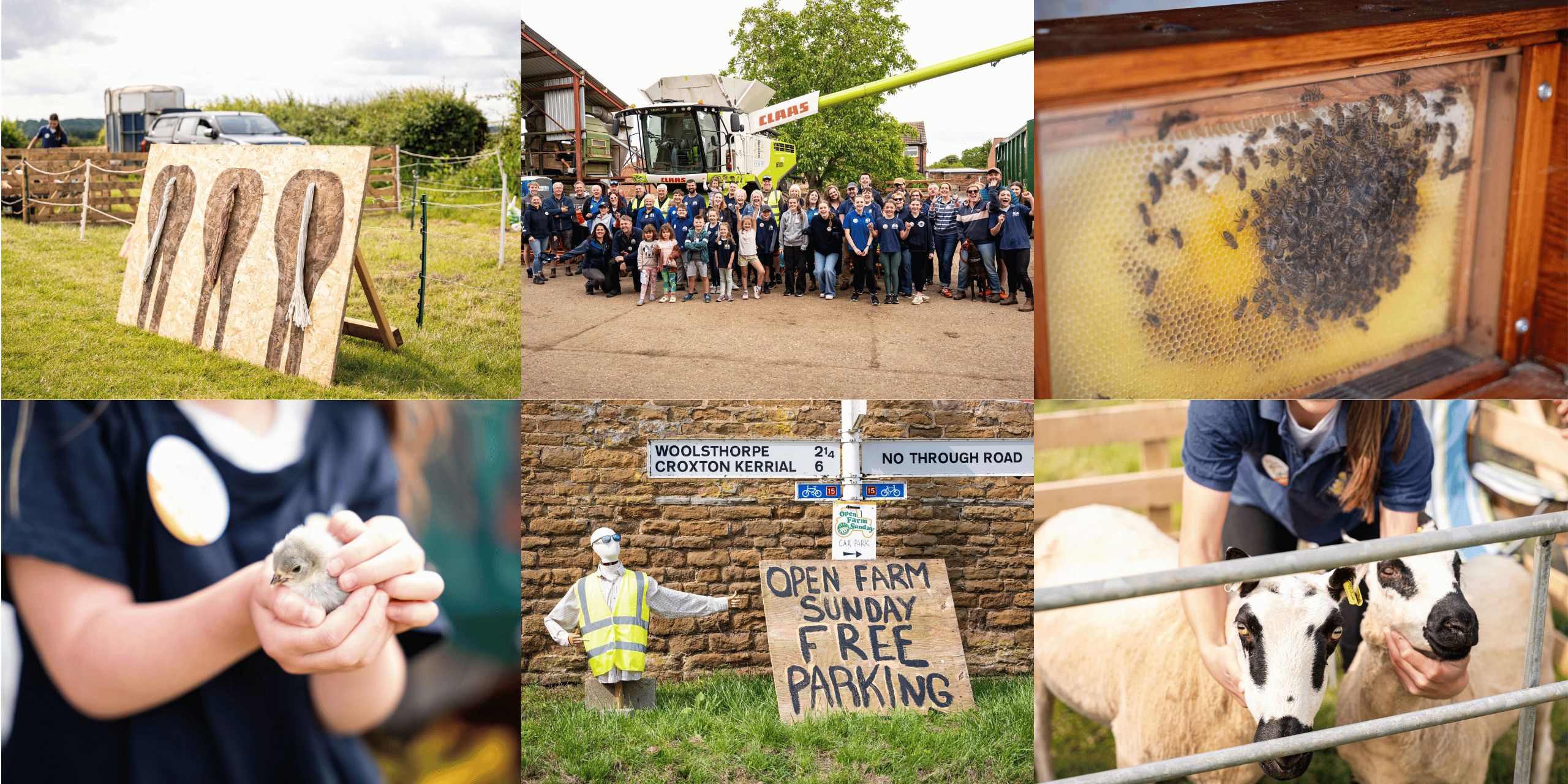 The collage is arranged in a 3-by-2 grid, combining images from a rural farm environment. Scenes from Open Farm Sunday, where visitors can explore agricultural activities, animals, and farm machinery.