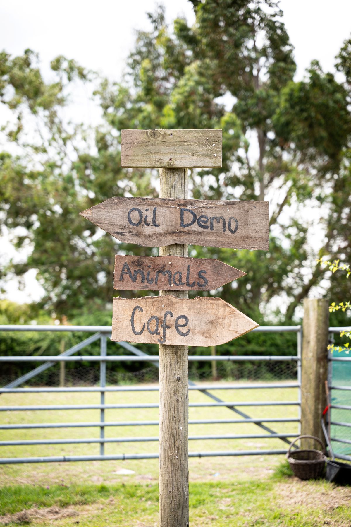 Wooden sign post with three directional arrows pointing to cafe, oil demo and animals