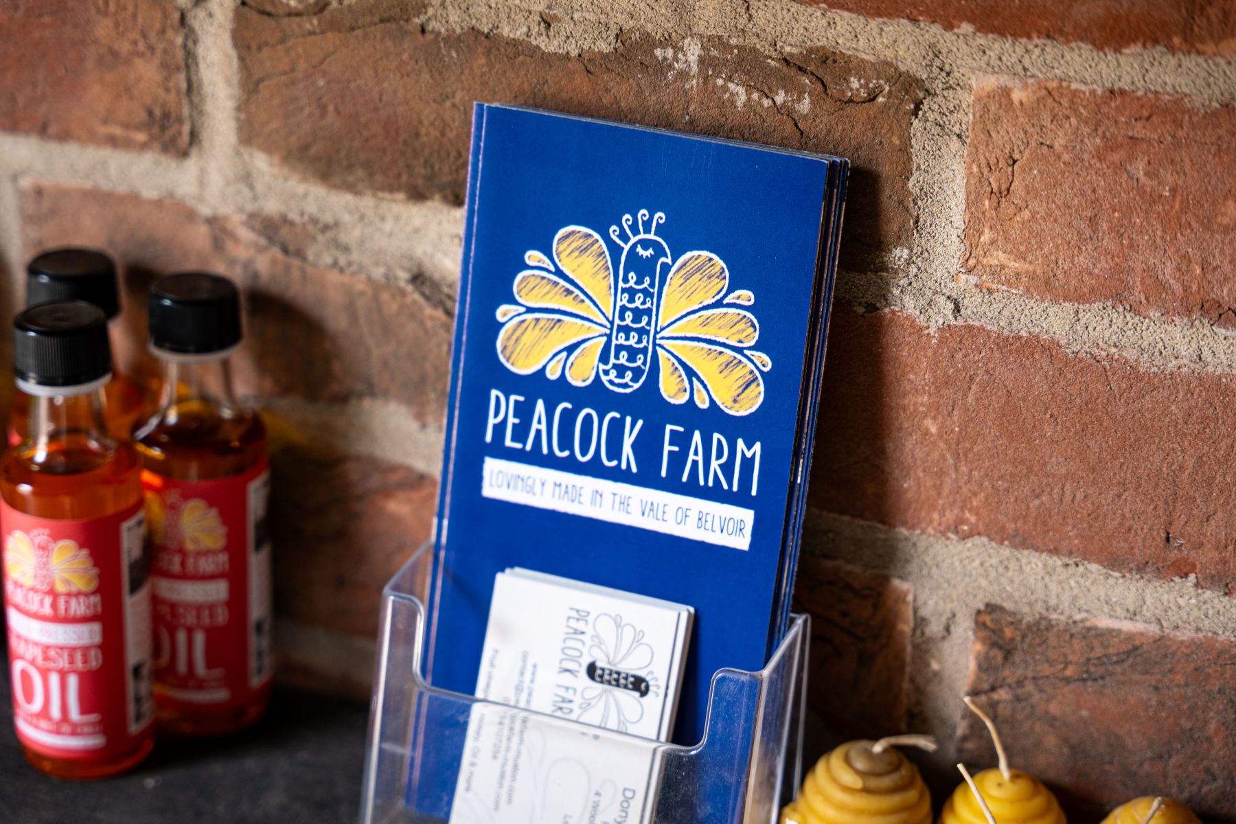 Blue leaflet with a peacock graphic next to a brick wall