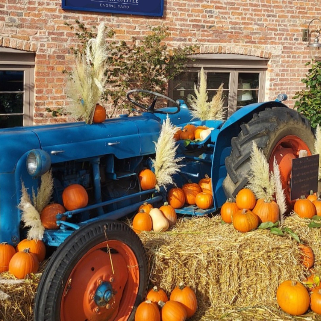 Vintage blue tractor surrounded by pumpkins and hay bales in an autumn display outside Belvoir Castle Engine Yard.